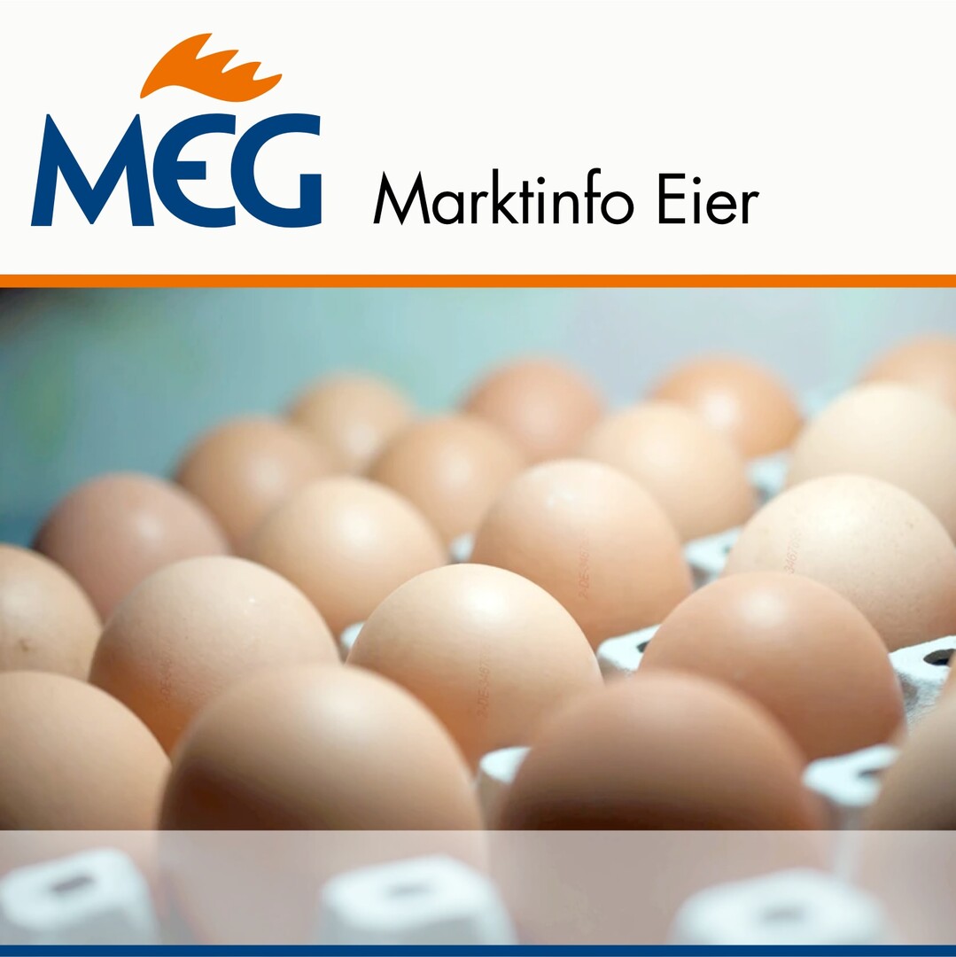 Cover MEG Marktinfo Eier