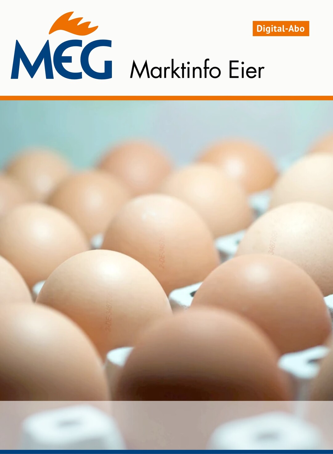MEG Marktinfo Eier
