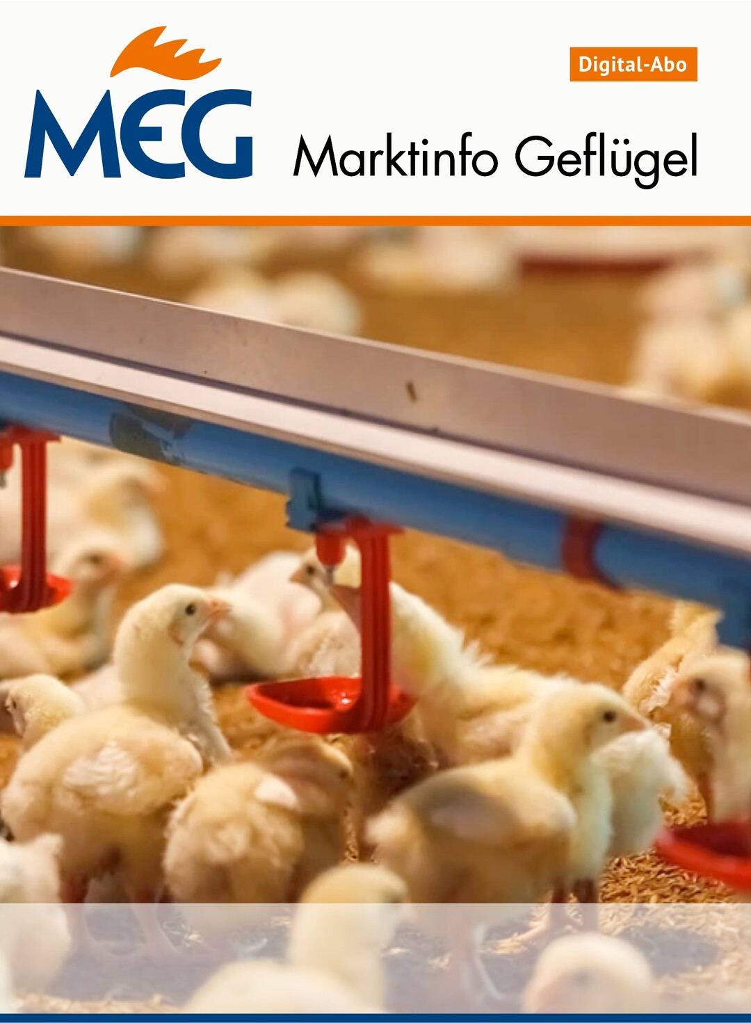 Cover MEG Marktinfo Geflgel